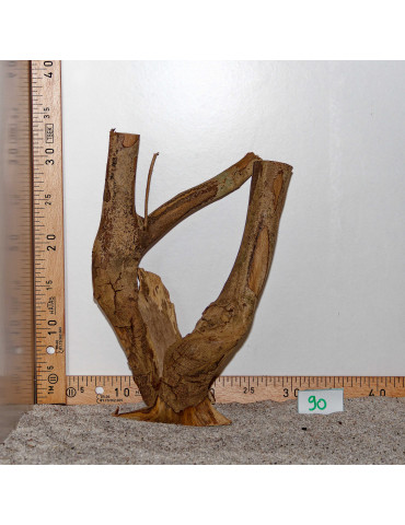 Racine de Talawa Wood - 90