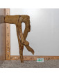 Racine de Talawa Wood - 101