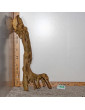 Racine de Talawa Wood - 102