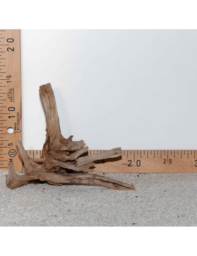 Racine de BlackSlim Wood nano - 31