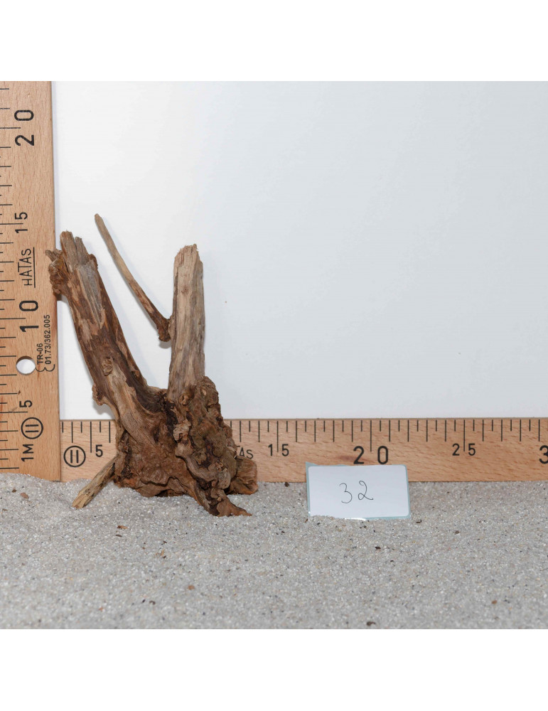 Racine de BlackSlim Wood nano - 32