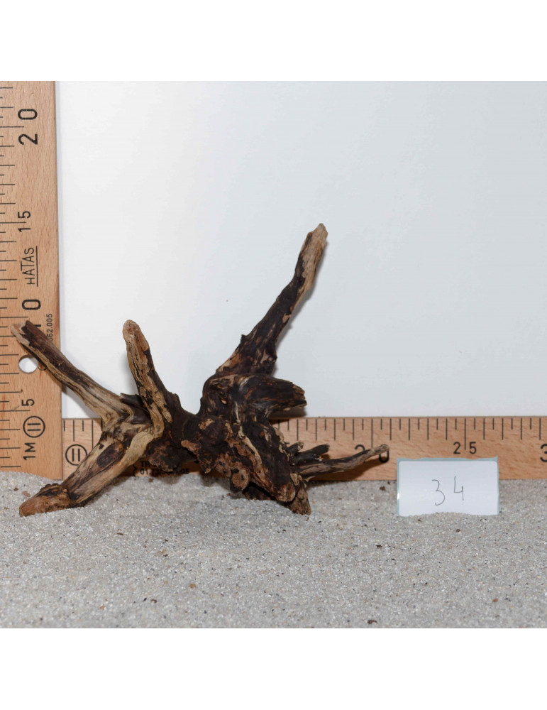 Racine de BlackSlim Wood nano - 34