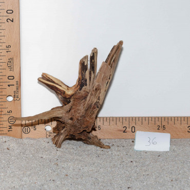 Racine de BlackSlim Wood...
