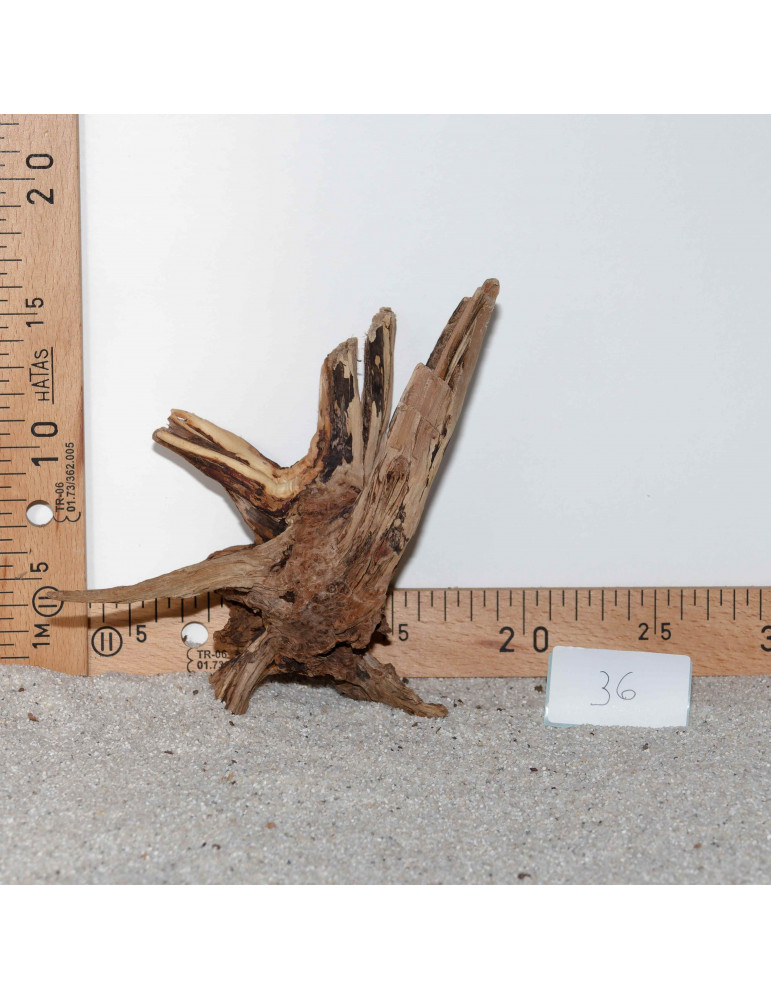 Racine de BlackSlim Wood nano - 36