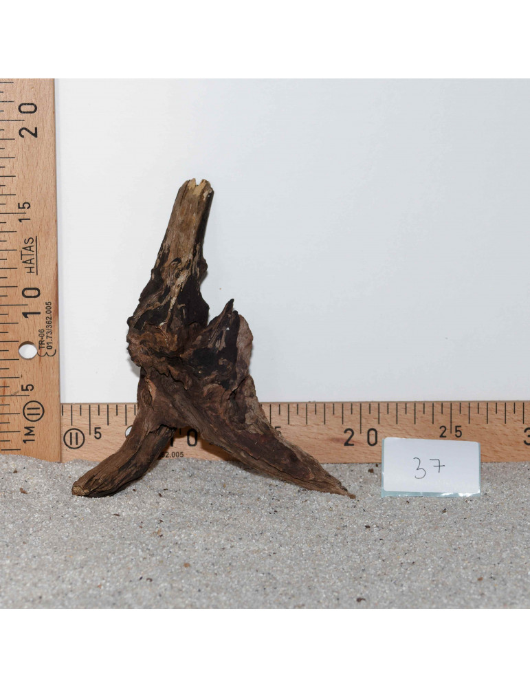 Racine de BlackSlim Wood nano - 37