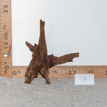Racine de BlackSlim Wood...