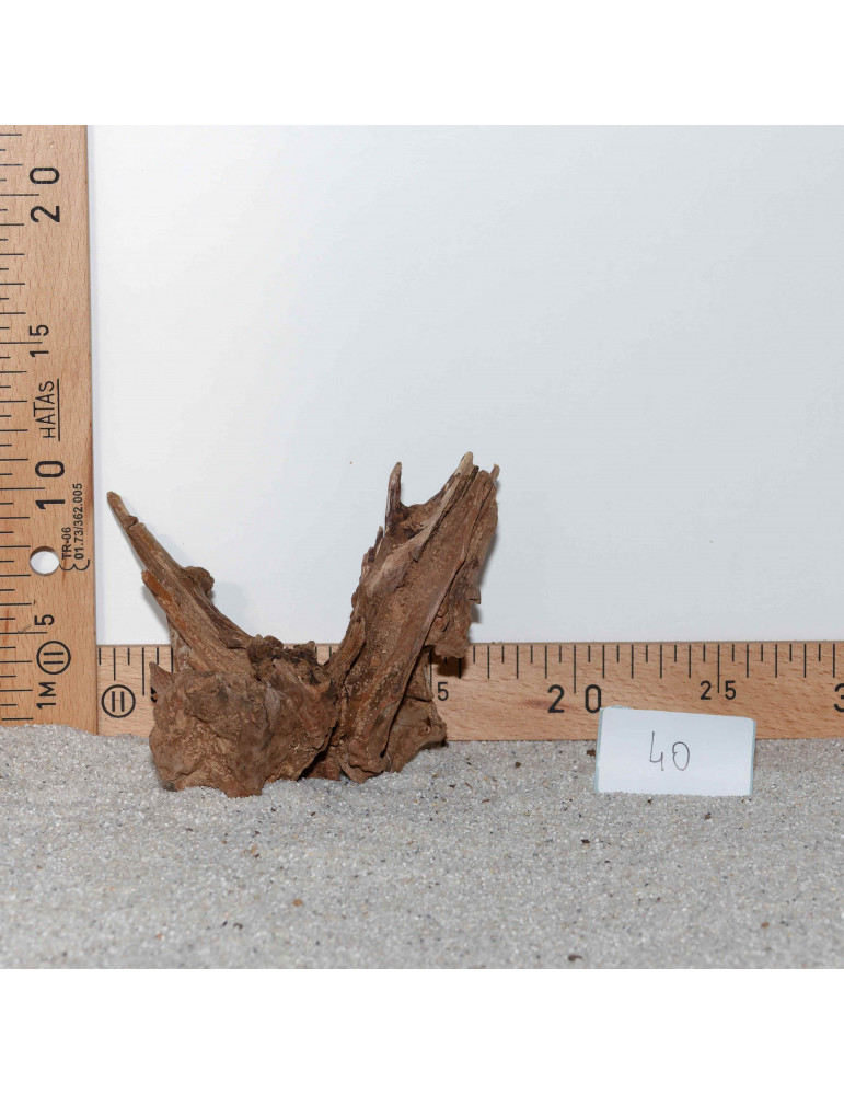 Racine de BlackSlim Wood nano - 40