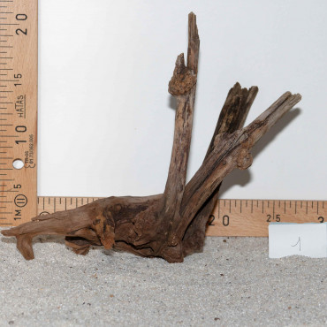 Racine de BlackSlim Wood...