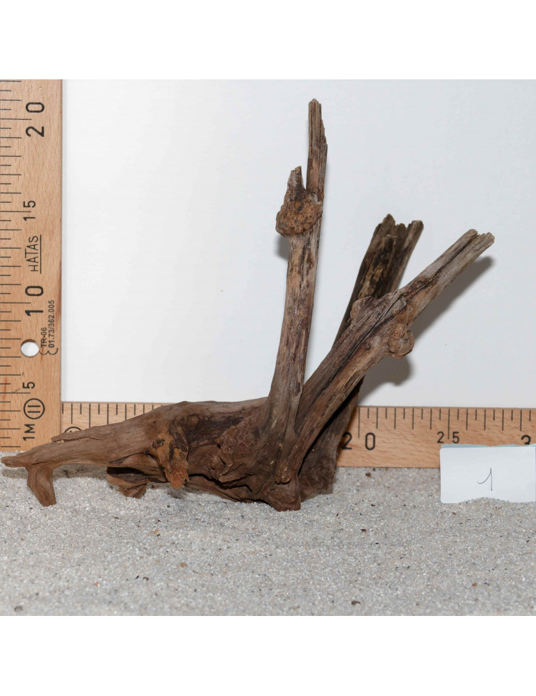 Racine de BlackSlim Wood medium - 1