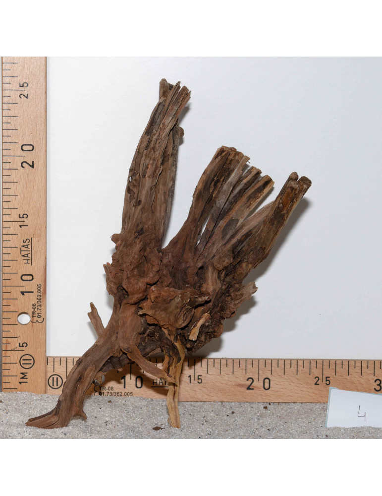 Racine de BlackSlim Wood medium - 4