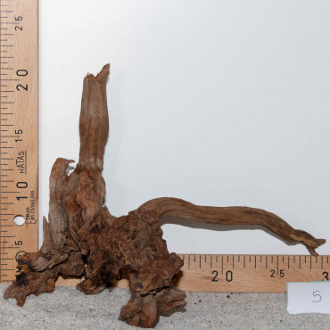 Racine de BlackSlim Wood...