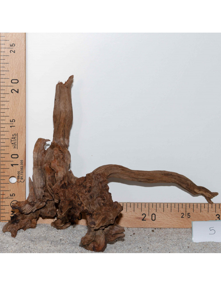 Racine de BlackSlim Wood medium - 5