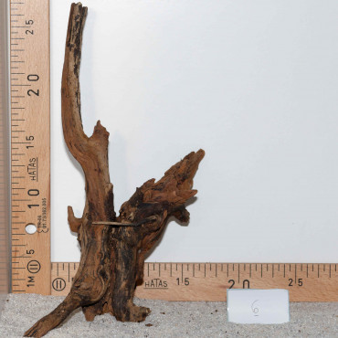 Racine de BlackSlim Wood...