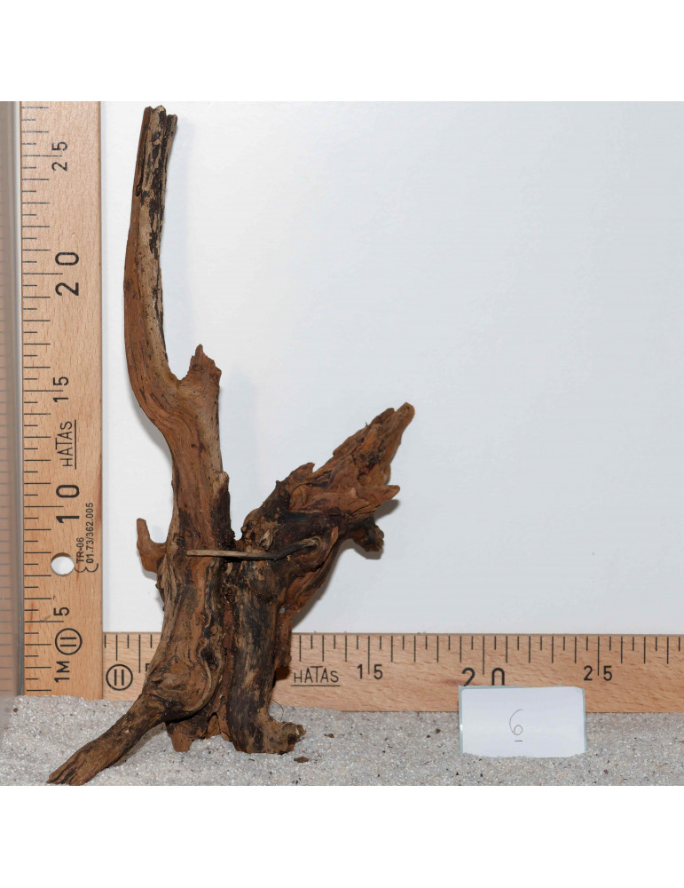 Racine de BlackSlim Wood medium - 6