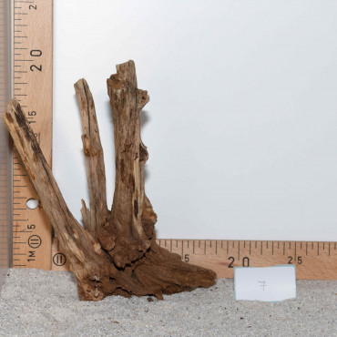 Racine de BlackSlim Wood...