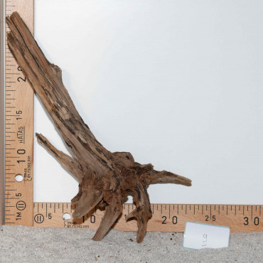 Racine de BlackSlim Wood...