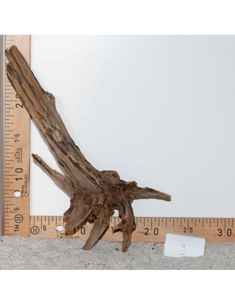 Racine de BlackSlim Wood medium - 9