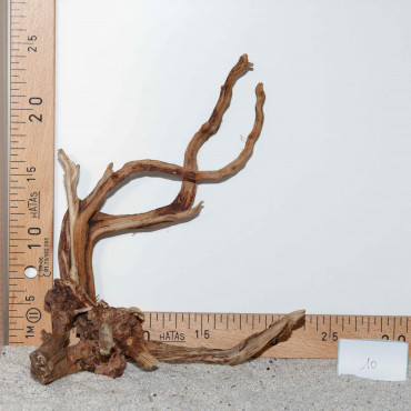 Racine de BlackSlim Wood...