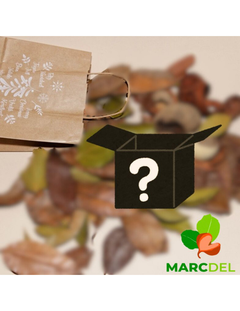 Kit mystère de Noël - Edition Limitée