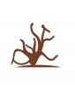 Racines & Bois