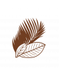 Feuilles