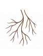 Biotopes