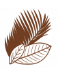 Feuilles