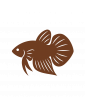 Pour Betta
