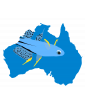 Australo-Guinéen