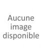 Australo-Guinéen