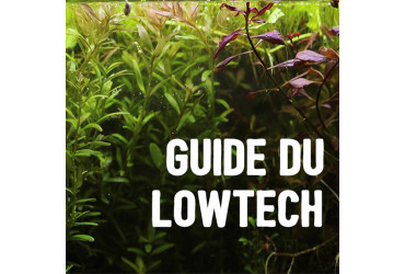 Le guide du lowtech