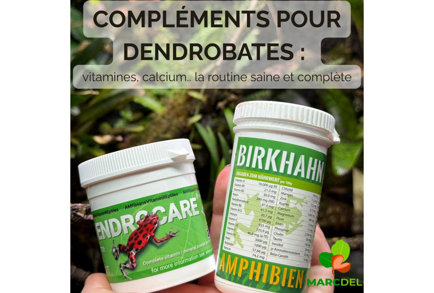 Compléments pour dendrobates : la routine la plus complète et efficace