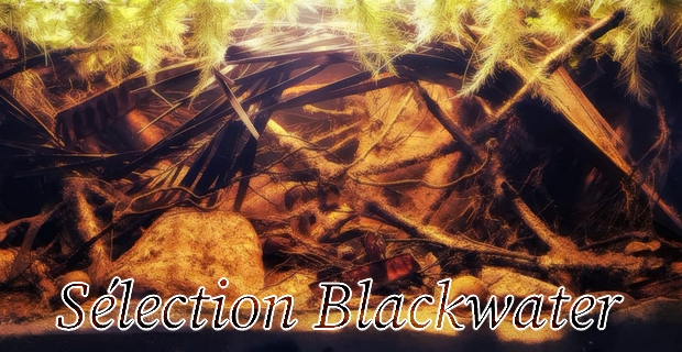 blackwater-1.jpg